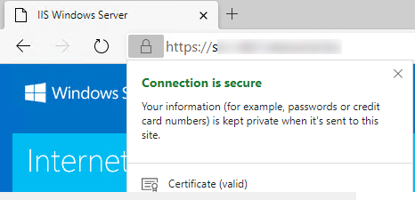 13 Windows VPS