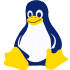 VPS Linux