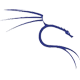 Kali Linux VPS hosting